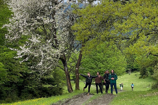13 km hike in Borjomi - Group tour from Tbilisi - Additional Activities: Bicycles and Rafting Equipment