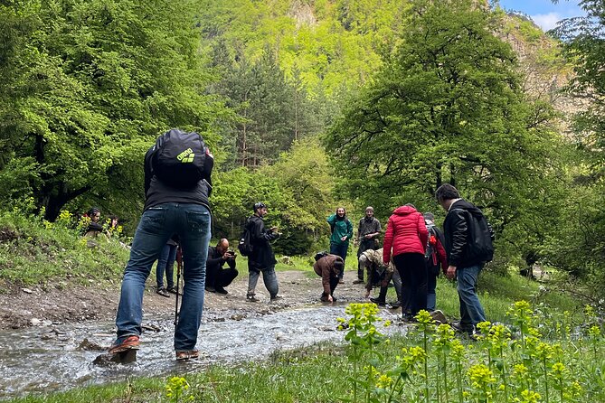 13 km hike in Borjomi - Group tour from Tbilisi - Physical Requirements and Suitability