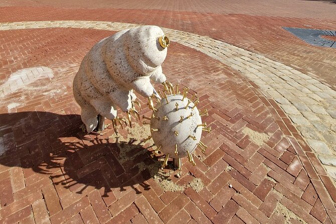 1,5 hour private guided Highlights of Arnhem City Walk - Meeting and Ending Points in Arnhem’s City Center