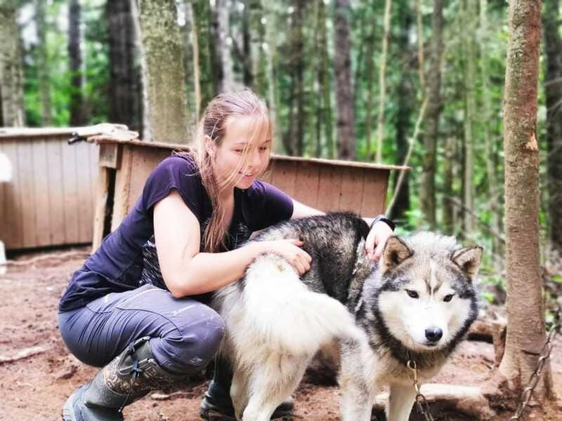 15 min. Tadoussac : Behind-the-Scenes Sled Dog Kennel Tour - The Surrounding Environment and Practical Details