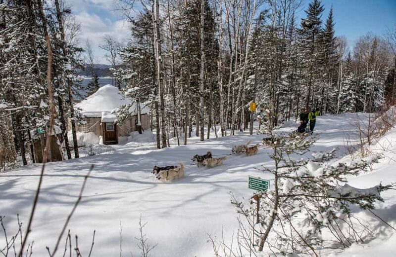 15 min. Tadoussac : Dog Sled Excursion in Saguenay Fjord - The Location of the Sledding Adventures in Saguenay Fjord
