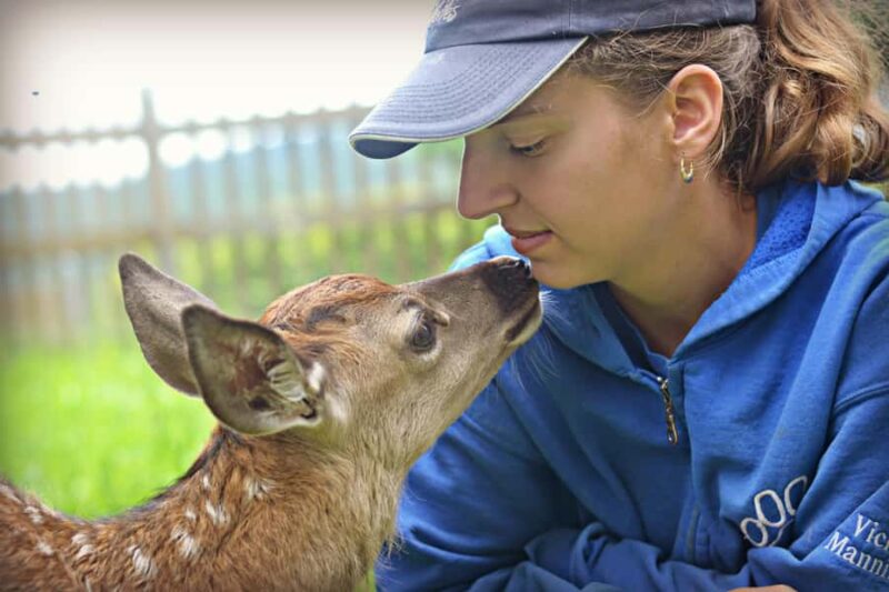 15 min. Tadoussac: Free visit to the animal shelter and farm - Exploring the Farm and Animal Refuge