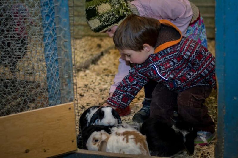 15 min. Tadoussac: Free visit to the animal shelter and farm - What Makes This Experience Stand Out