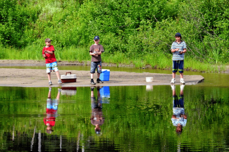 15 min. Tadoussac : Trout Fishing Experience - Discover the Charm of the 15-Minute Trout Fishing Experience Near Tadoussac