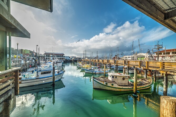 17-Mile Drive Self-Guided Audio Tour from Monterey & Carmel - Point Pinos Lighthouse and Coastal Wildlife Viewing
