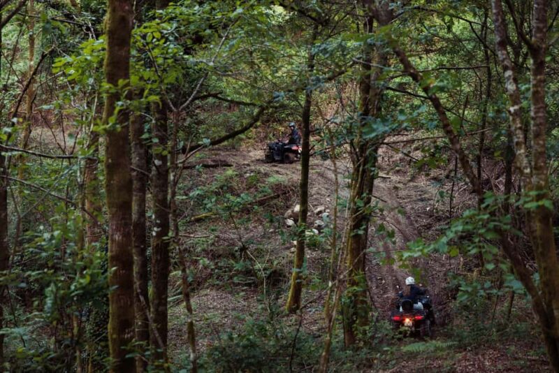 1h Quad Tour  Arcos de Valdevez  Peneda Gerês - The Experience Provider: Arcos Tour