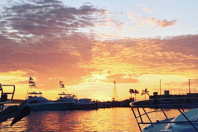 2.10 Hour Sunset Tour on Catamaran in Cabo San Lucas - Scenic Cruise Along the Pacific Coast with Wildlife Viewing