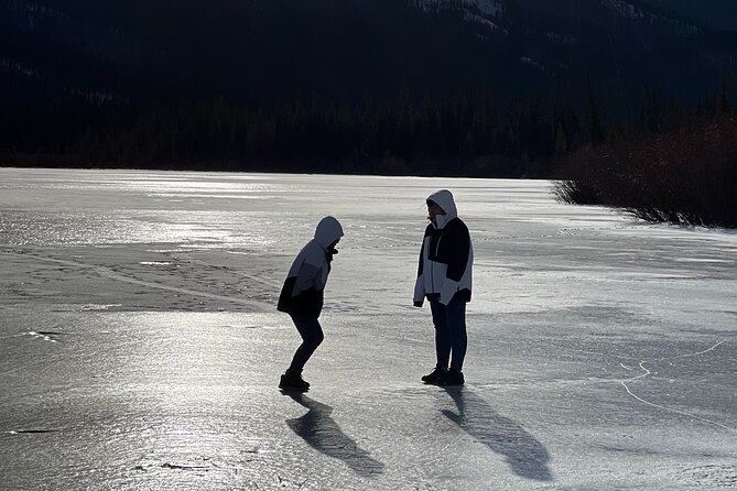 2-4 Days Abraham Grassi Lake Louise Gondola Johnston Canyon - Day 3: Abraham Lake and the Icefields Parkway Highlights