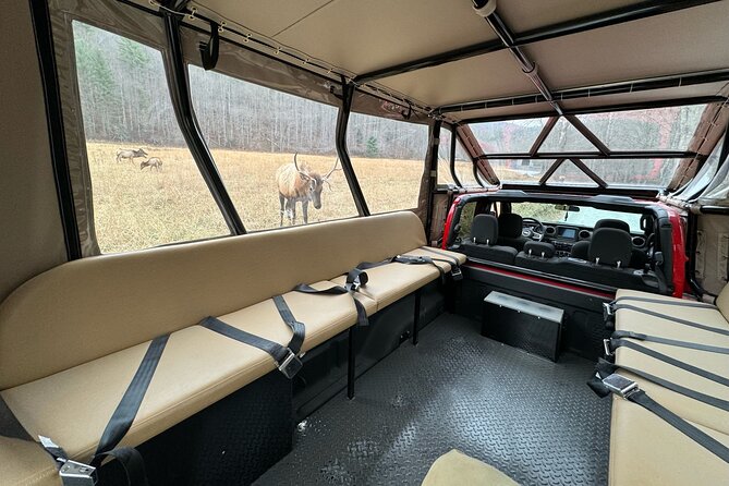 2.5-3 hour Smoky Mountain Cherokee Blue Ridge Parkway Safari tour - Personalized Experience in a Small Group Setting