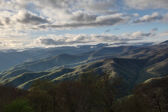 2.5-3 hour Smoky Mountain Cherokee Blue Ridge Parkway Safari tour - Flexibility and Practical Details