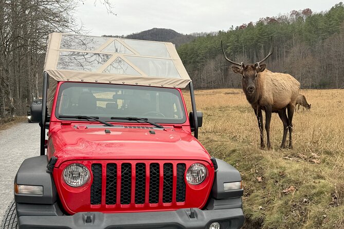2.5-3 hour Smoky Mountain Cherokee Blue Ridge Parkway Safari tour - Expert Guides and Engaging Storytelling