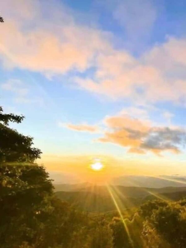 2.5-3 HR Guided Safari Jeep Mile-High Adventure - Scenic Departure Point at Soco Road in Tennessee