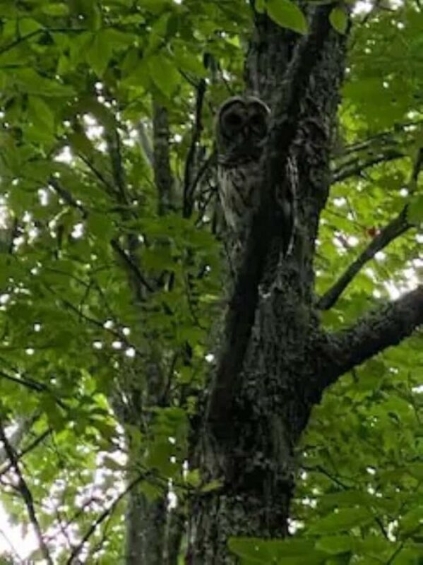 2.5-3 HR Guided Safari Jeep Mile-High Adventure - Flexibility with Booking and Cancellation Policies