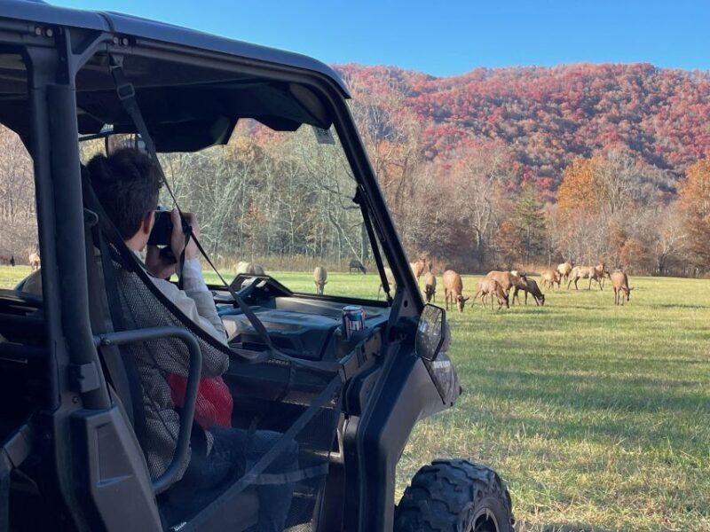 2.5-3 HR Maggie Valley: Guided Scenic UTV Adventure - Physical Requirements and Safety Rules