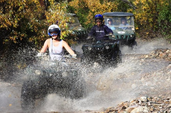 2.5-Hour Denali Wilderness ATV Adventure Tour - Scenic Stops and Landmark Views Along the Trail