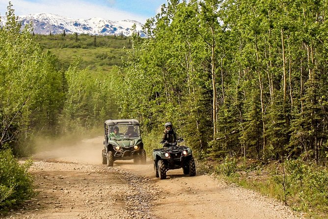 2.5-Hour Denali Wilderness ATV Adventure Tour - Booking, Pricing, and Availability
