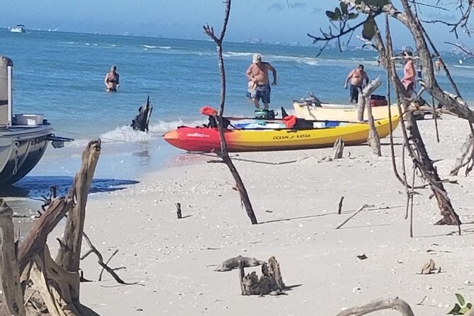 2.5-Hour Guided Group Kayak Tour on Big Hickory Pass - Wildlife Sightings and Marine Encounters