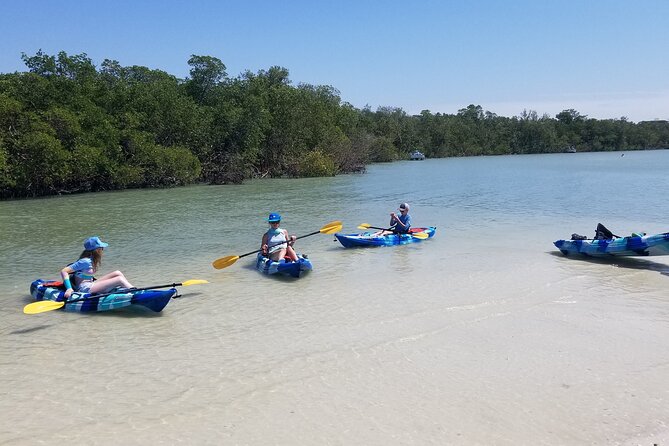 2.5-Hour Guided Group Kayak Tour on Big Hickory Pass - Gear and Equipment Included for a Hassle-Free Experience
