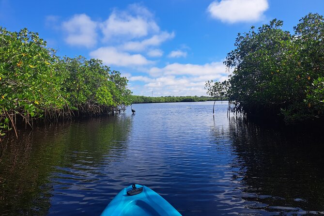 2.5 Hour Kayaking with Manatee and History Tour in Tarpon Springs - Meet at Tarpon Springs Sponge Docks for Kayaking