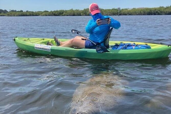 2.5 Hour Kayaking with Manatee and History Tour in Tarpon Springs - The Role of Guides and Their Knowledge