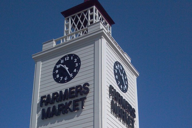 2.5 Hour Private Sightseeing Tour of Hollywood and Beverly Hills - Hollywood Hills and Celebrity Homes