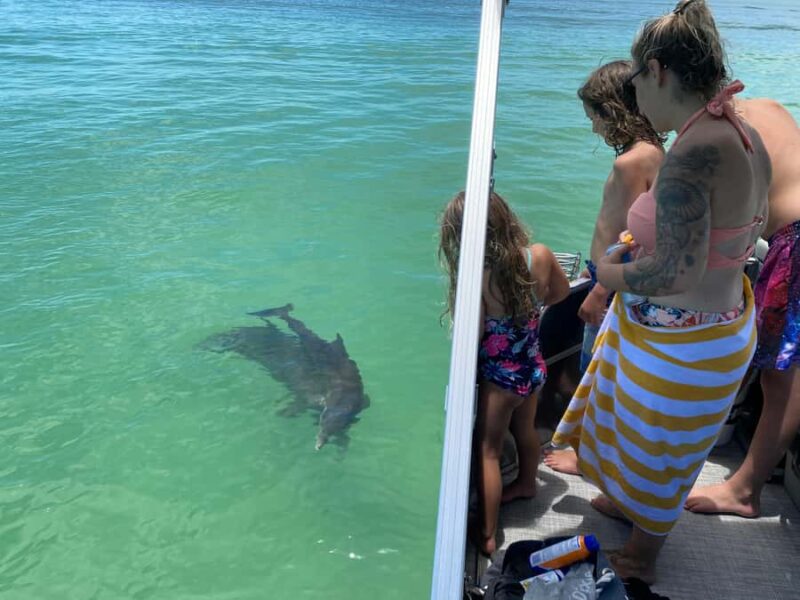 2.5 Hour Shell Key Island Adventure - Dolphins And Shells - Scenic Views and Nature Encounters