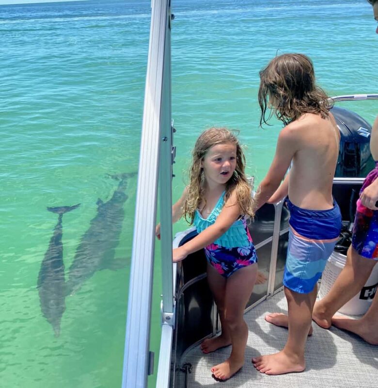 2.5 Hour Shell Key Island Adventure - Dolphins And Shells - Accessibility and Booking Flexibility