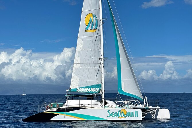 2.5 Hour Xpress Snorkel from Kaanapali Beach - The Marine Life You Can Expect to Encounter