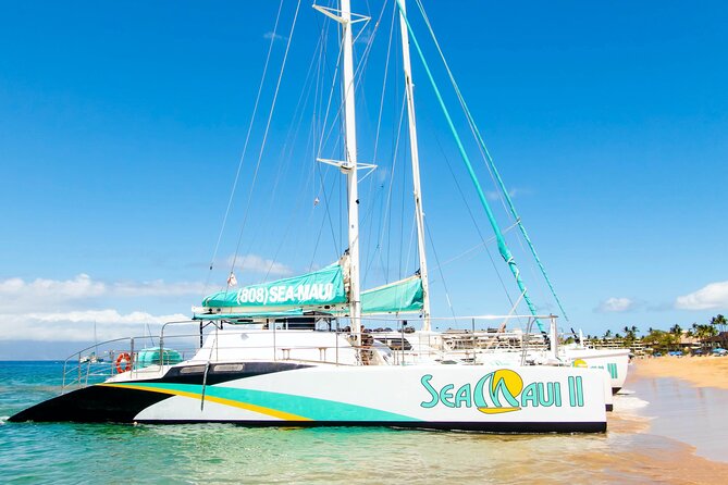 2.5 Hour Xpress Snorkel from Kaanapali Beach - The Crew and Service Quality on the Snorkel Trip