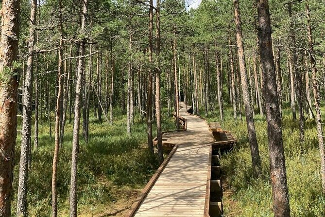 2.5 Hours Hike in Vaattunkikongas Forest Trail - Explore the 2.5-Hour Hike in the Vaattunkikongas Forest Near Rovaniemi