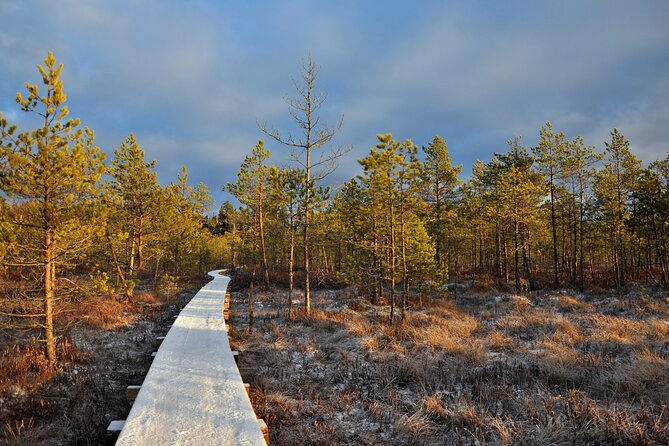 2.5 Hours Hike in Vaattunkikongas Forest Trail - Flexibility and Weather Considerations