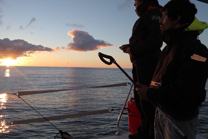 2.5h Sunset Navigation with Azorean appetizers and Wine - Key Points