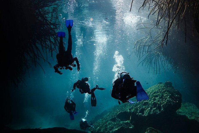 2 cenote divings (including one deep diving) for advanced divers in Tulum - Equipment, Entrance Fees, and Other Inclusions