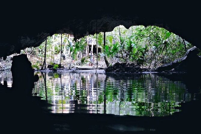 2 Cenotes Guided Snorkeling Adventure in Tulum - Logistics: Meeting Point and Group Size