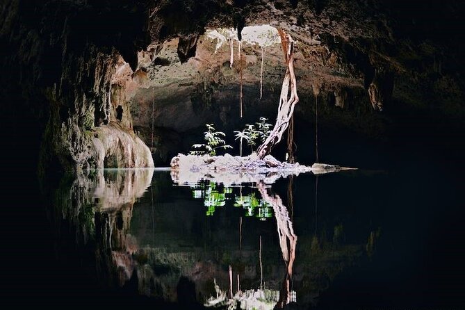 2 Cenotes Guided Snorkeling Adventure in Tulum - Physical Requirements and Considerations