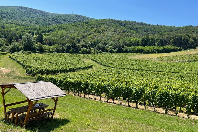 2 day Boat Trip and City Tour in Tokaj Hungary with Wine Tasting - Key Points