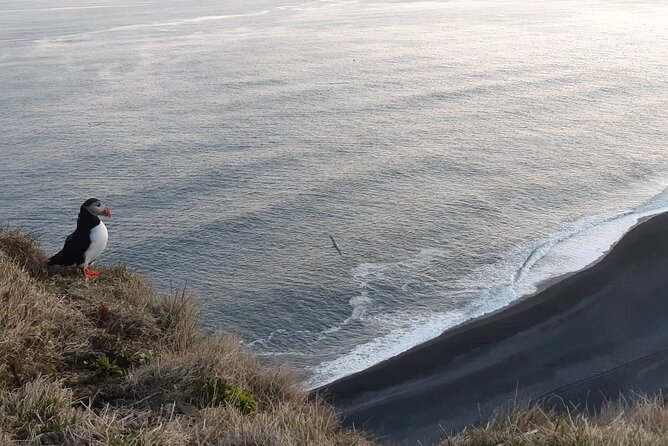 2-Day Highlights of Iceland | Intro to the Land of Ice and Fire - Frequently Asked Questions