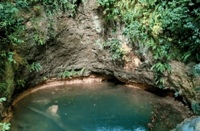 2 Day Lacandon Jungle, the Lost City and Bonampak Ruins - Sleeping in an Ecolodge in Lacanja Chansayab