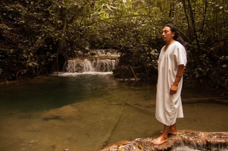 2 Day Lacandon Jungle, the Lost City and Bonampak Ruins - Visiting the Cenote Corcho Negro in the Jungle