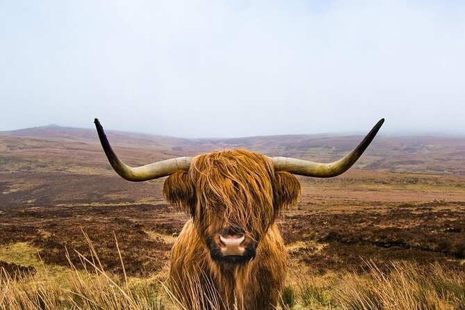 2-Day Loch Lomond, West Highlands, Glencoe & Oban Tour - Return to Edinburgh via the Forth Bridge