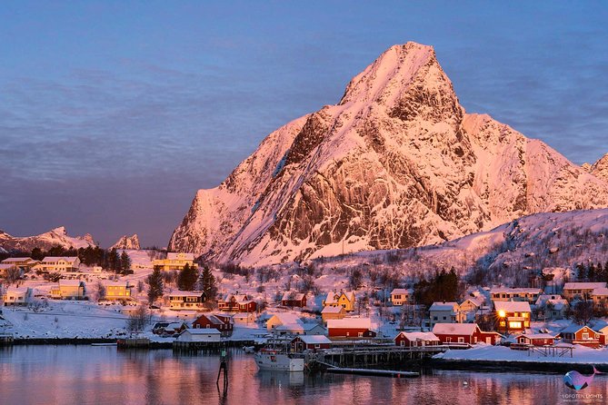 2- Day Lofoten Top Highlights Photo Tour - Starting Point and Transportation in Svolvaer