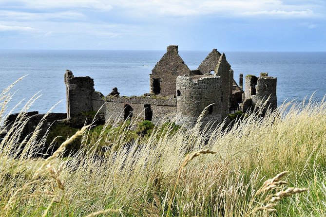 2-Day Northern Ireland Rail Tour: Belfast, Antrim Coast, and Giant's Causeway - The Role of the Guides and Drivers