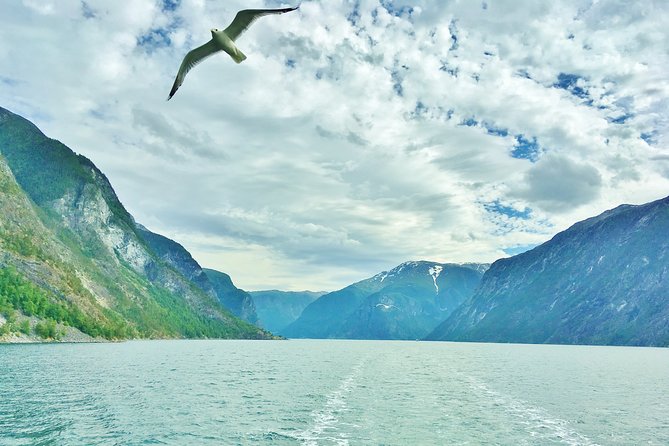 2-Day Round Trip from Bergen: THE GRAND SOGNEFJORD fjords, waterfalls, glacier - Crossing the Sognefjord and Reaching Sogndal
