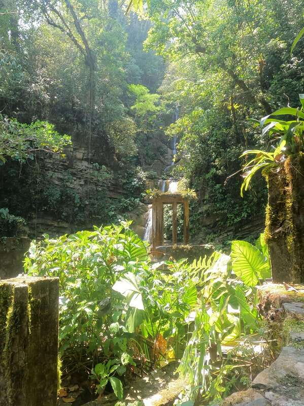 2 day tour Puente de Dios and Xilitla from San Luis Potosí - Visiting the Edwar James Sculptoric Garden in Xilitla