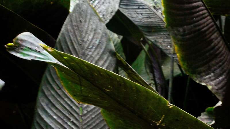 2 day tour Puente de Dios and Xilitla from San Luis Potosí - Frequently Asked Questions