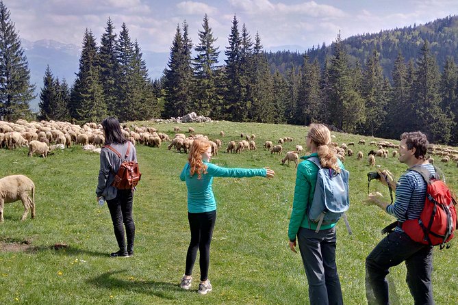 2-Day Transylvania Culture Trek from Brasov - Small Group Tour - Starting Point: From Brasov to Rasnov Citadel