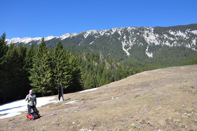 2-Day Transylvania Culture Trek from Brasov - Small Group Tour - Overnight in Rustic Mountain Guesthouse