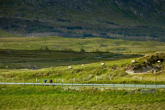 2-Day Western Ireland Tour from Dublin:Including Galway and Cliffs of Moher - Day Two: From the Burren to the Cliffs of Moher