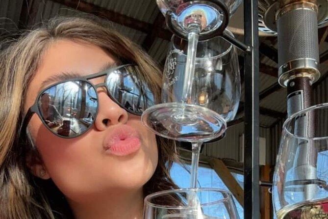 2 Day Wine Tour NON BUS Traverse City Wine Country 2 Peninsula - Logistics and Group Dynamics