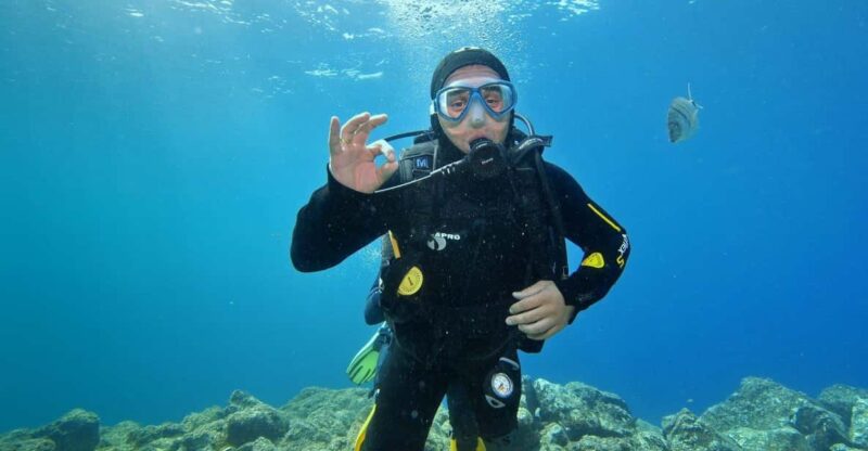 2 DAYS - 3 DIVES - Starting Point and Group Size at Delphinus Diving School